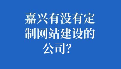嘉興有沒有定制網站建設的公司？